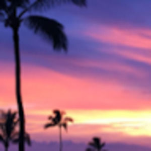 Meet your Posher, Kylee